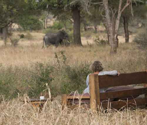 Kuro Camp - Tarangire